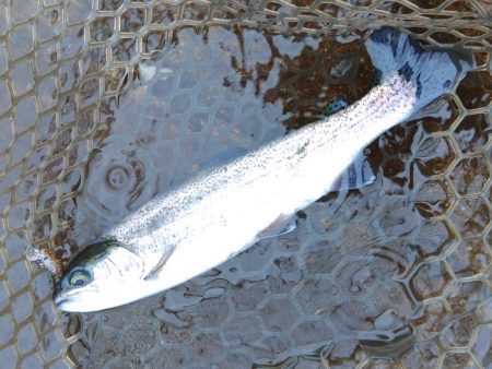 水面が熱い！ ～平谷湖フィッシングスポット…